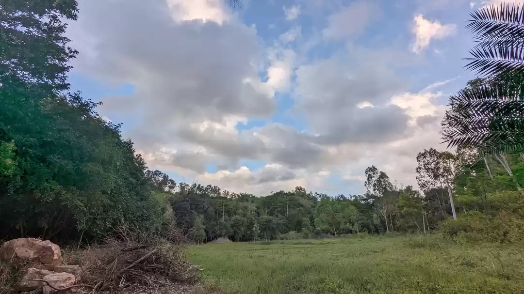 Photo of 9 Traditional Sustai