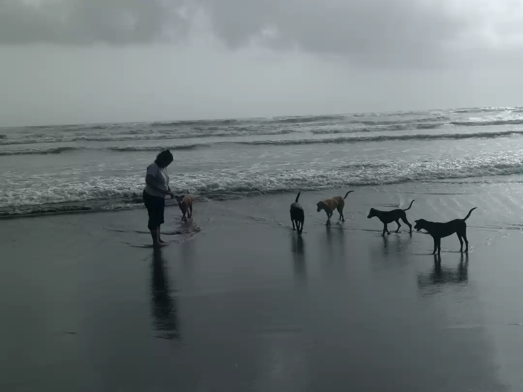 Photo of I Never Walk Alone #