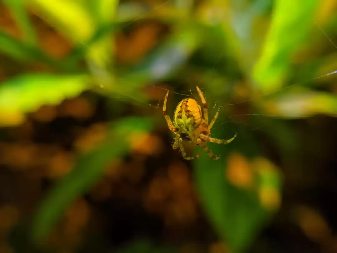 Photo of When Night Walk Turn