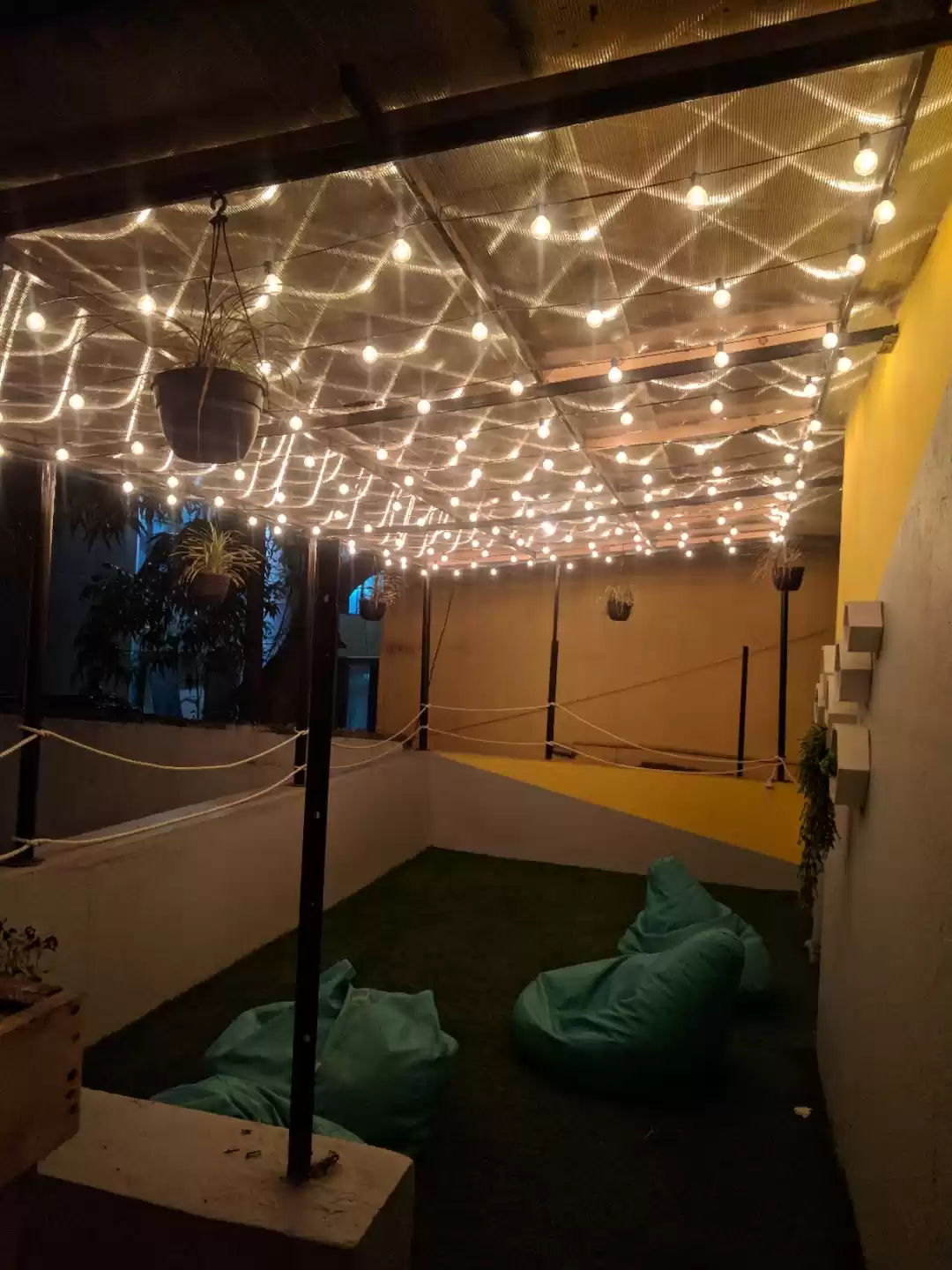 Photo of One of The BEST Zost