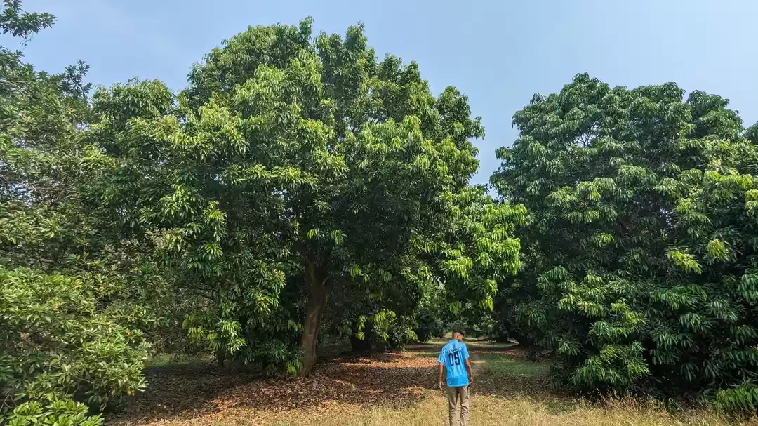 Photo of 2 Hrs From Mumbai A