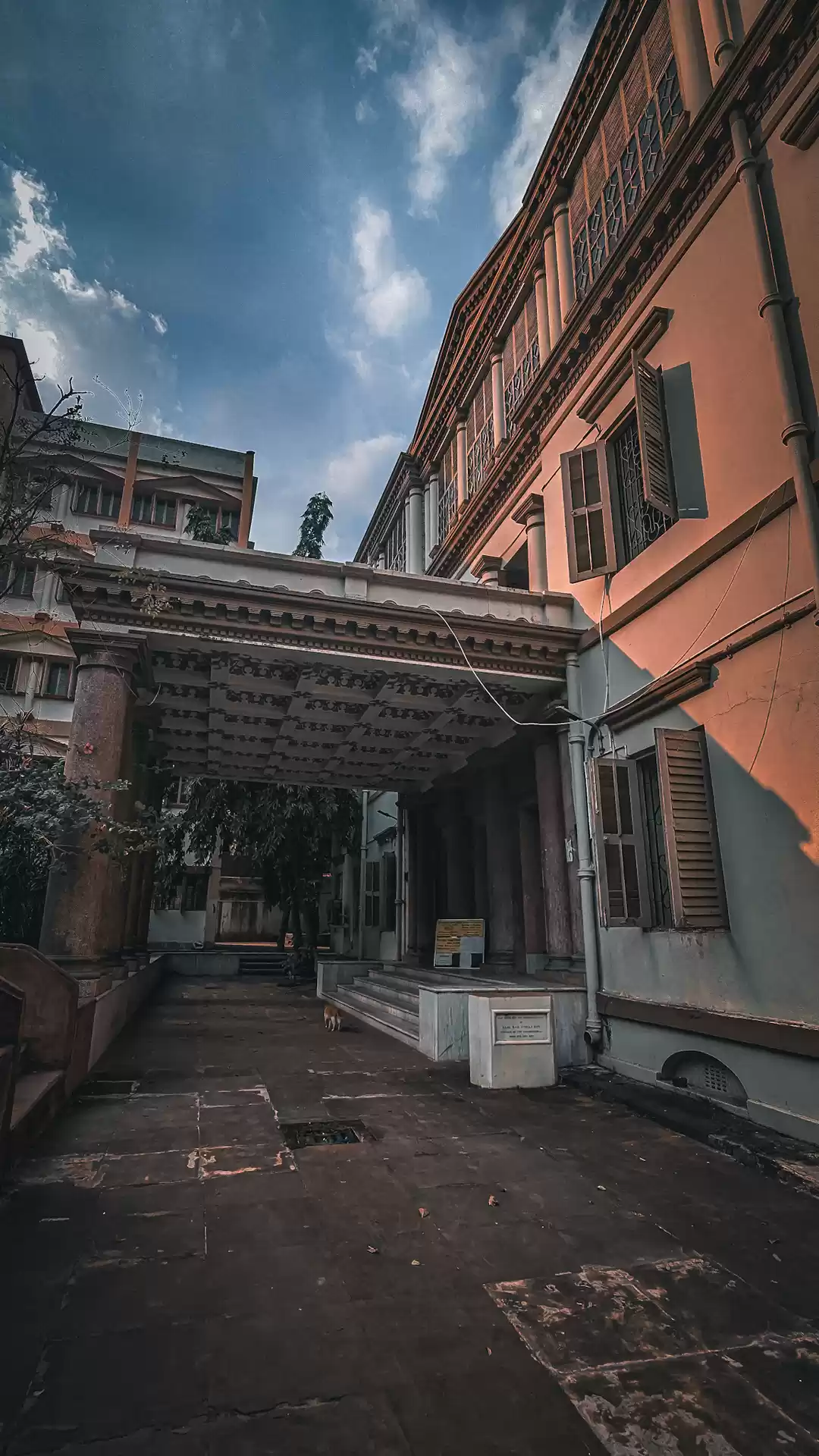 Photo of No One Knows About T