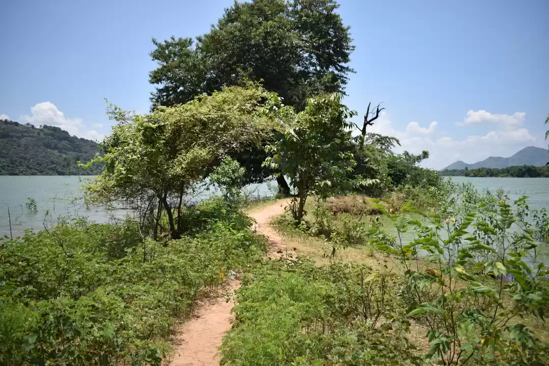 Photo of What to do when you 