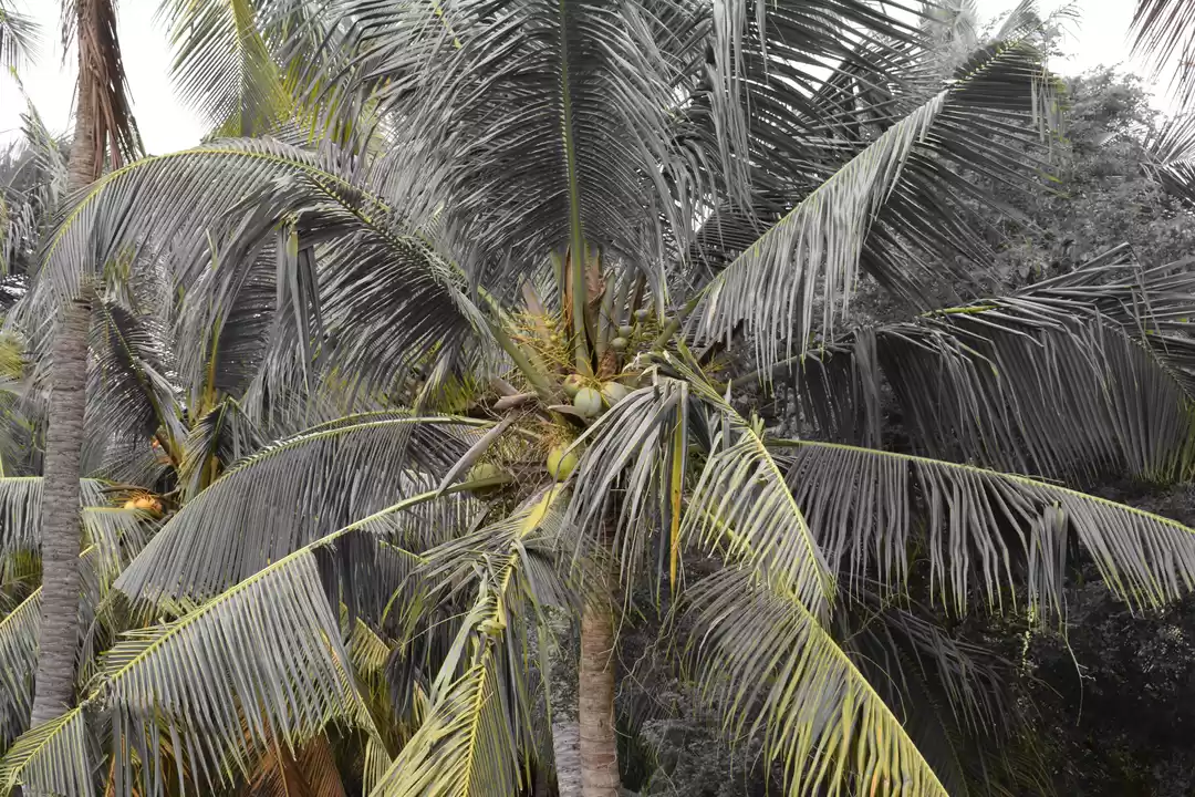 Photo of Kanyakumari; Travel 