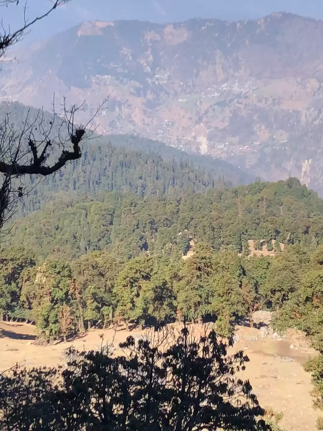 Photo of Road Trip Lovers Cho