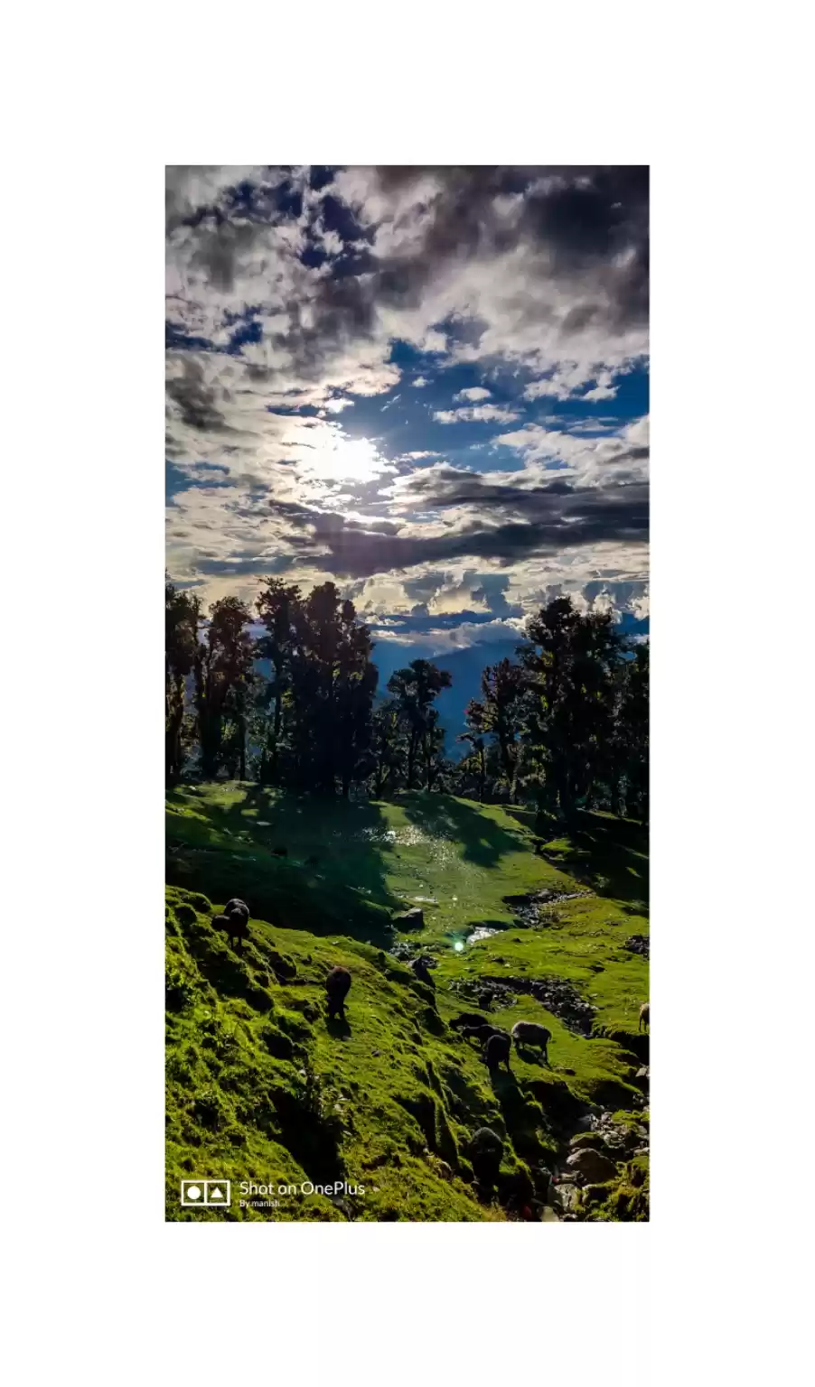 Photo of CHOPTA A BEAUTIFUL V