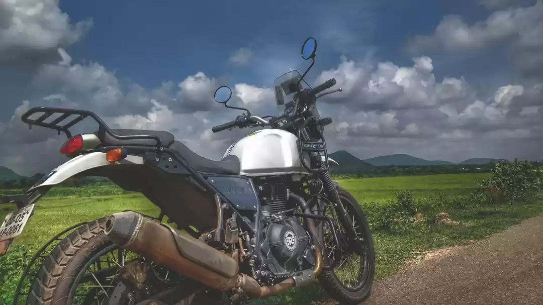 Photo of BEAUTIFUL MONSOON BI