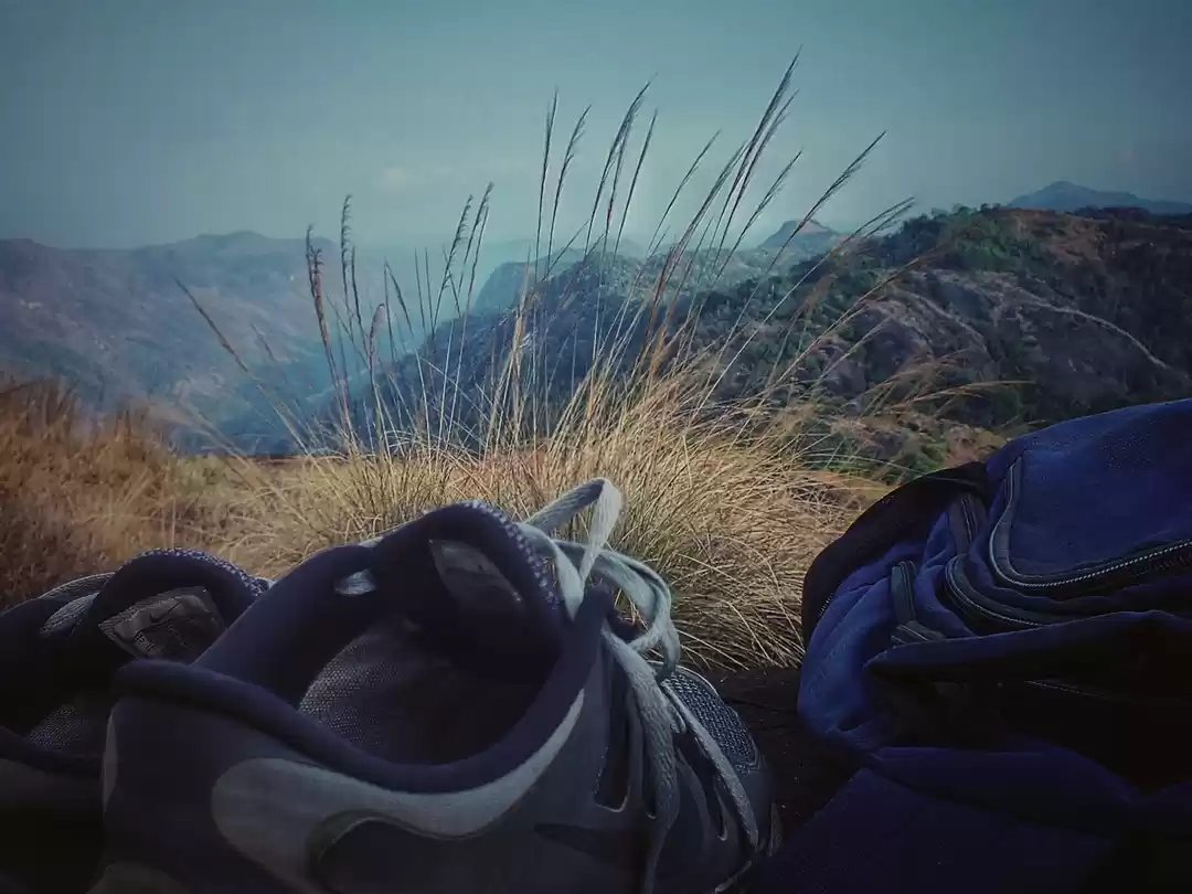 Photo of Backpackers