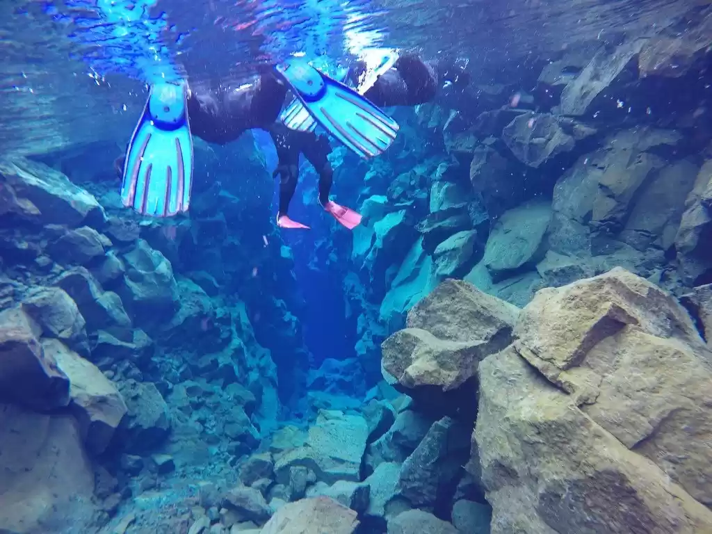 Photo of Snorkeling between E