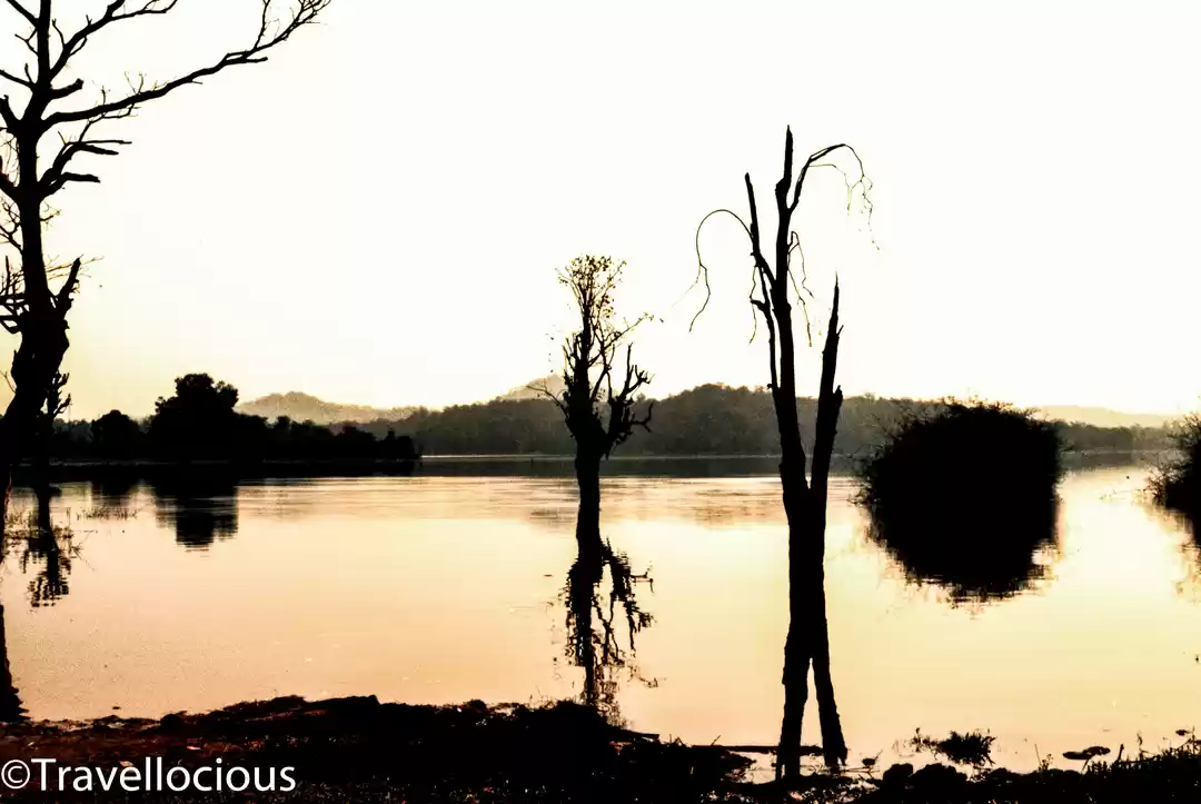 Photo of Top 5 Things To Do i