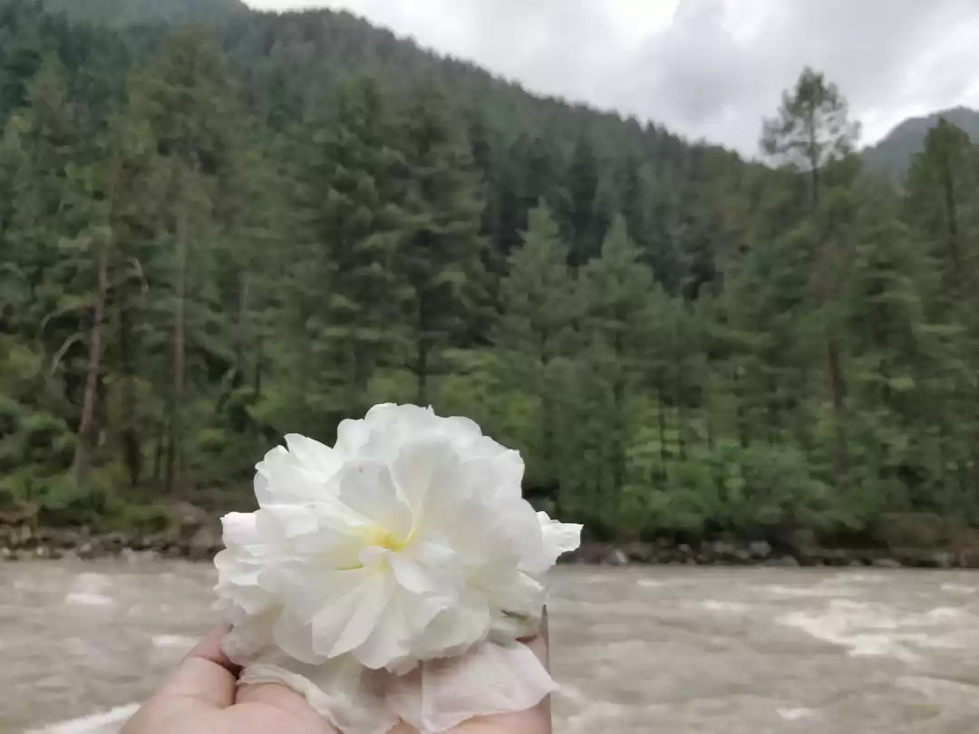 Photo of The Hamlet in India