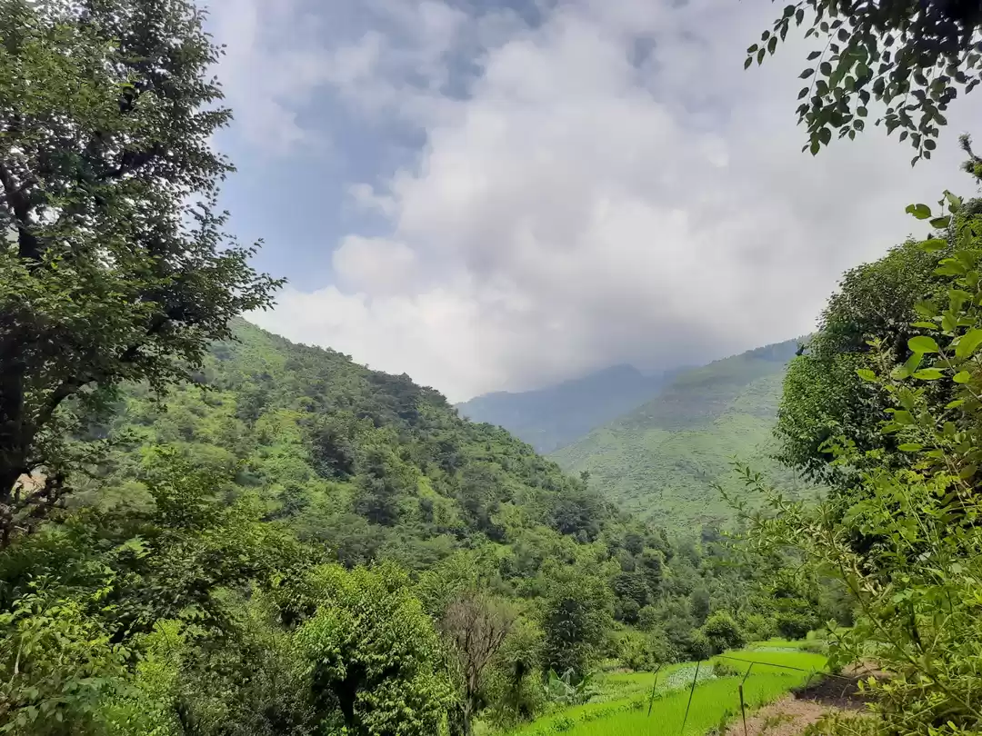 chakrata tour package from delhi