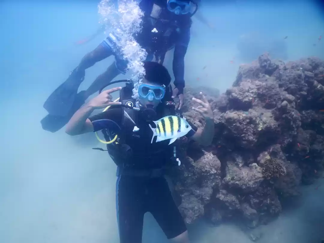 Photo of Neil Island or North