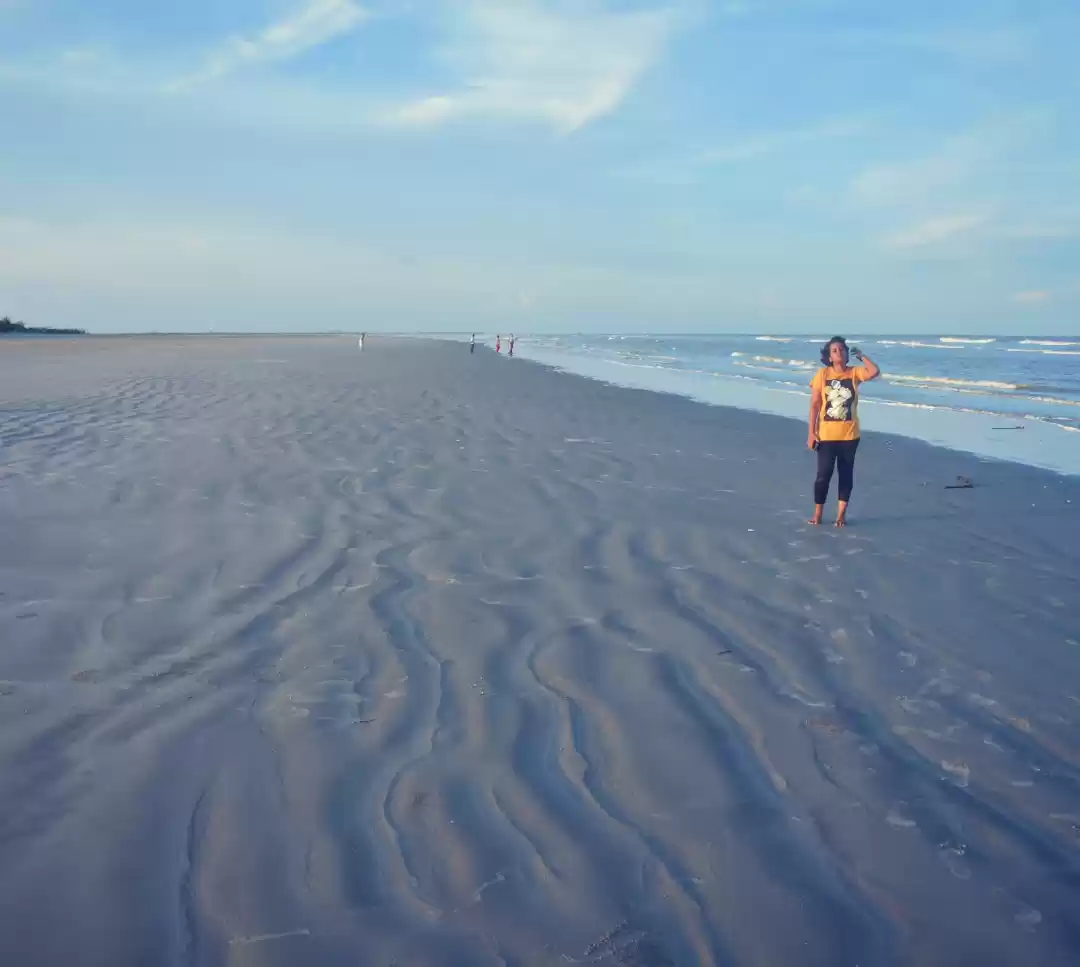 Photo of Protected mangroves,