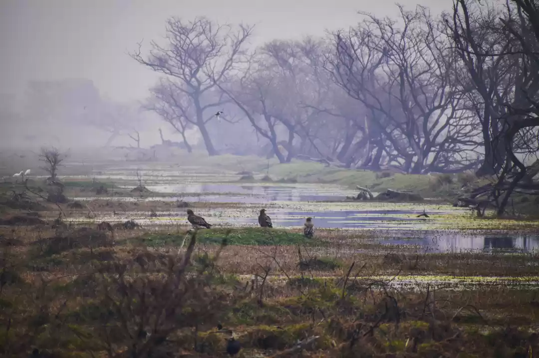 Photo of This February-March,