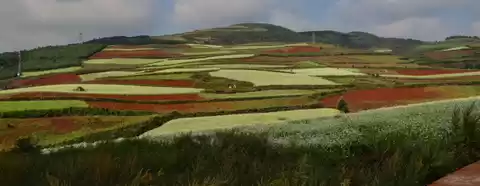 Photo of Dongchuan Red Land: 