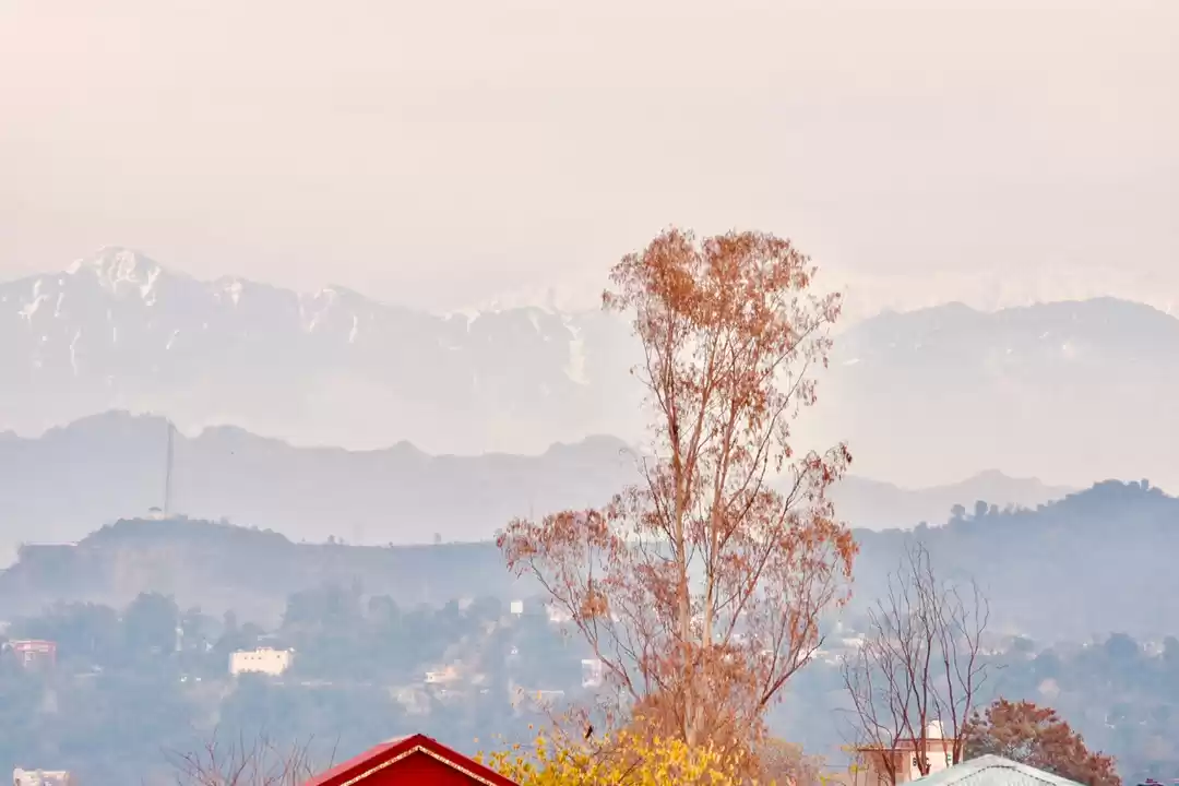 Photo of Kangra, Himachal Pra