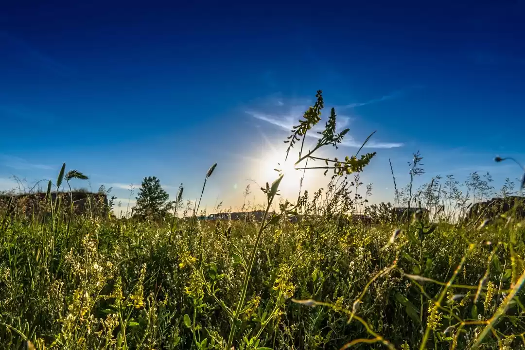 Photo of Hiking in the Badlan