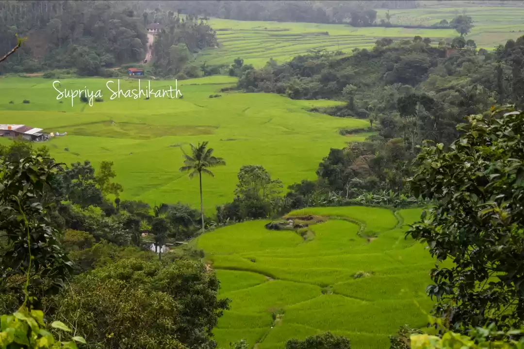 Photo of The Beauty Of Wester