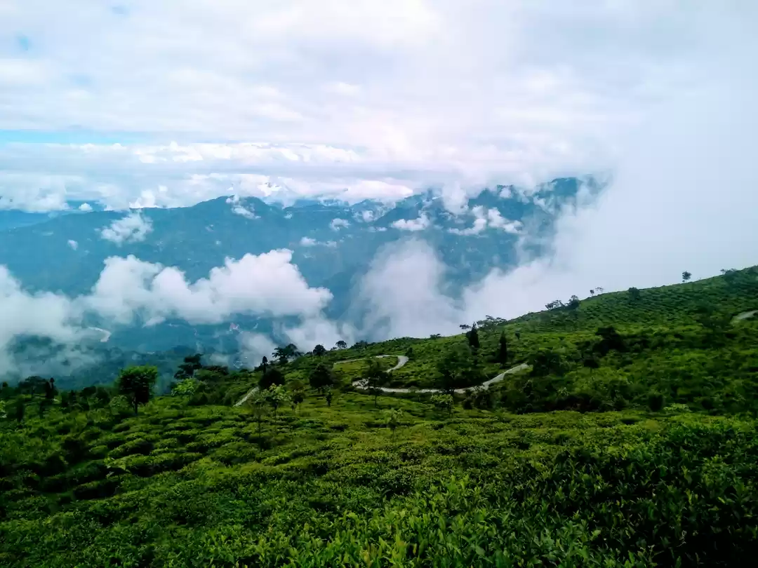 Photo of Experience this beau