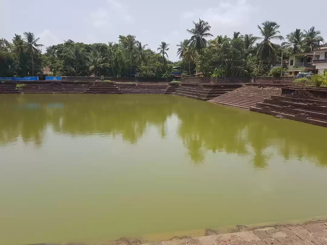 Photo of Say hello to the pea