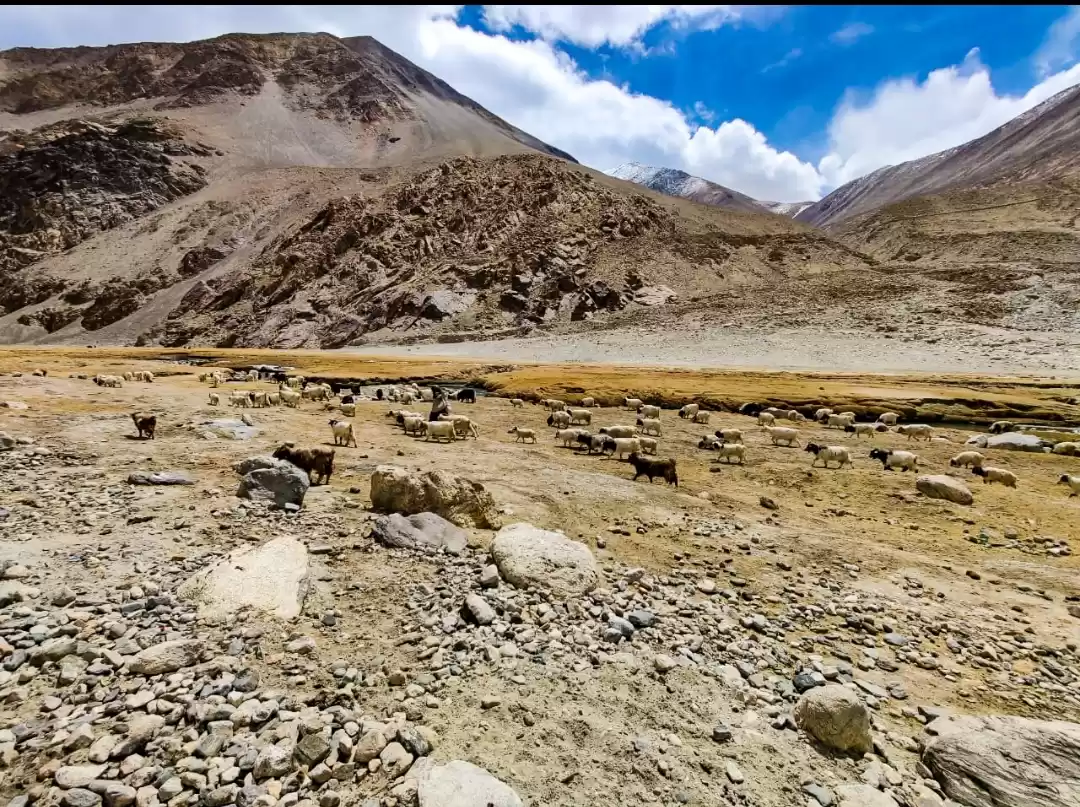 Photo of LEH-LADAKH.....that'