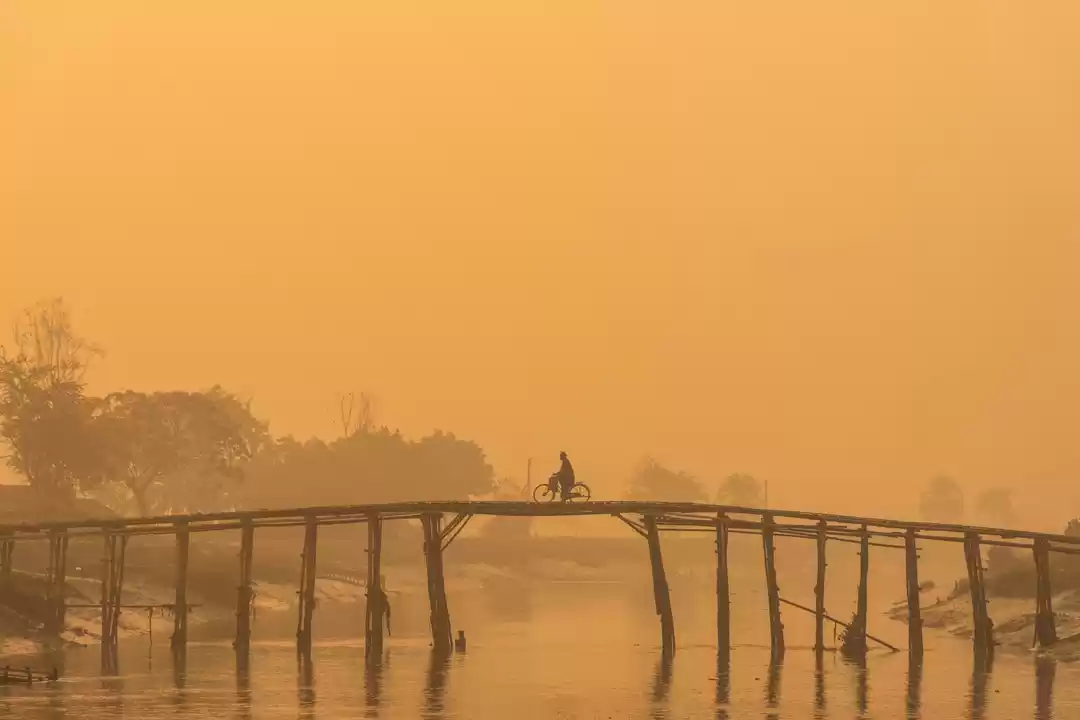 Photo of Early Morning Story