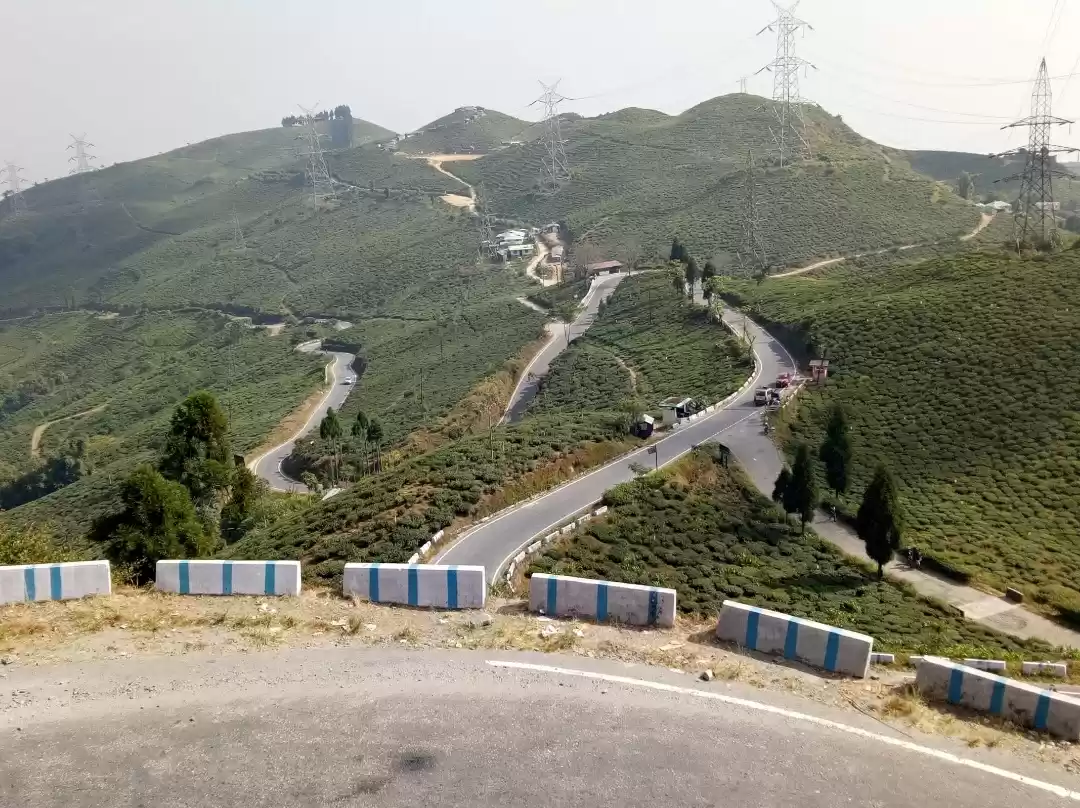 Photo of DARJEELING - Land of