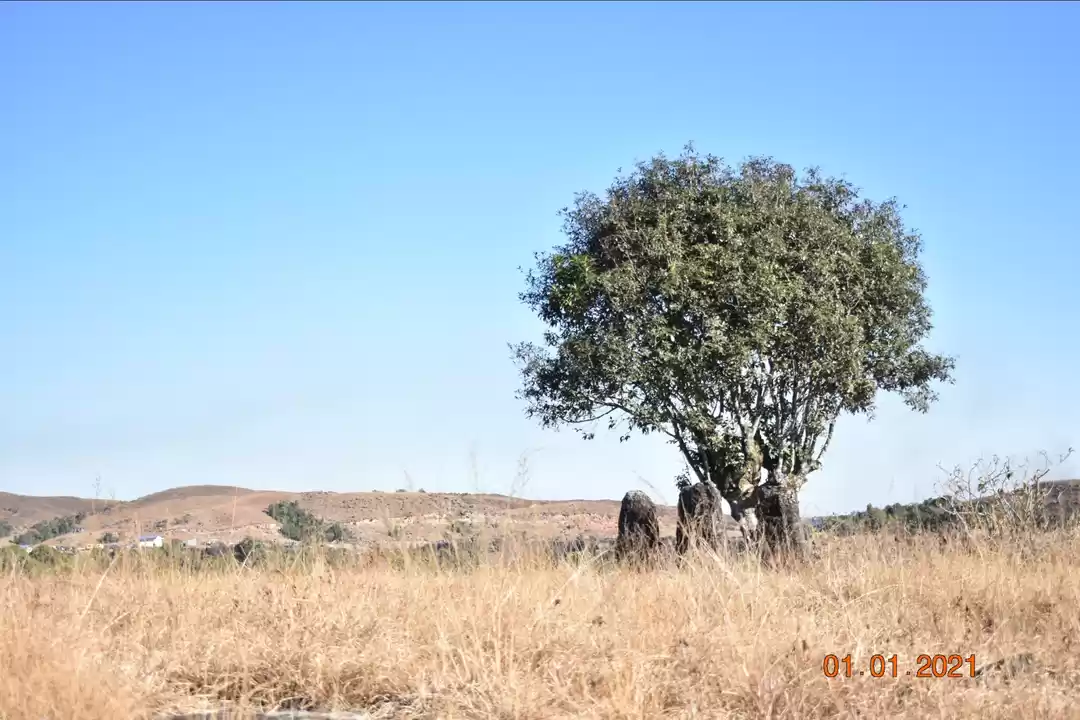 Photo of Once known as the we