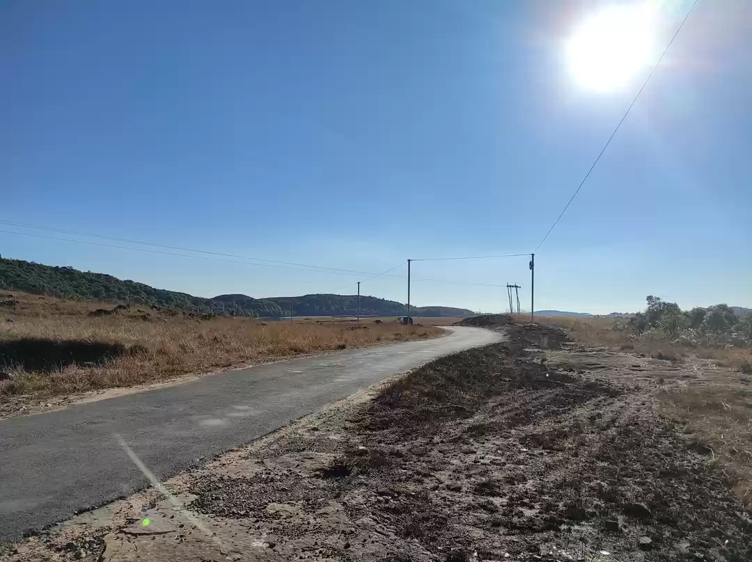 Photo of This is how I bid fa