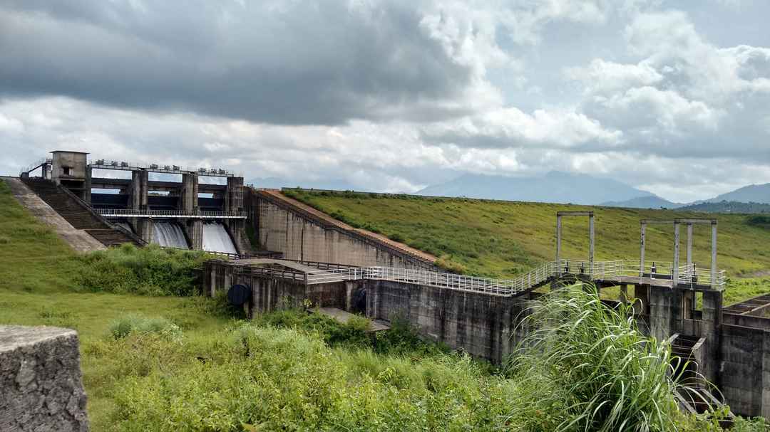 Photo of Winding into the wilderness - Wayanad and Kozhikode