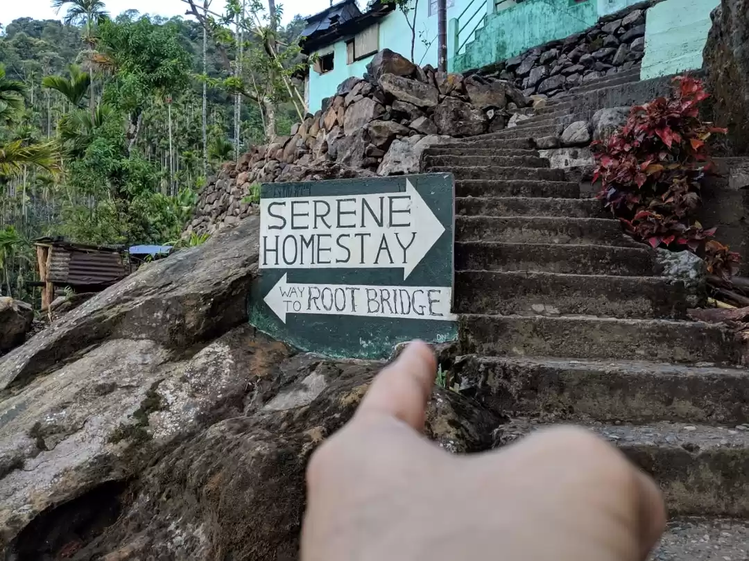 Photo of Serene Homestay, Non