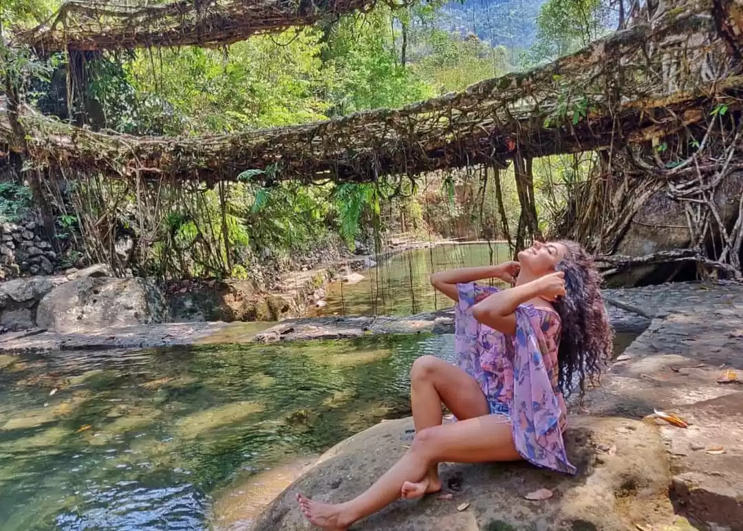 Photo of Double Decker Root B