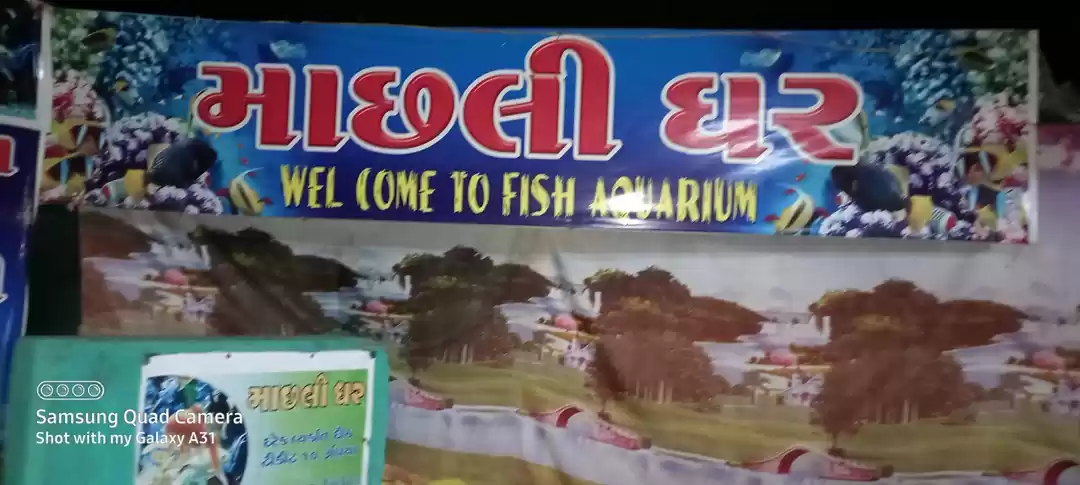 Photo of Aquarium