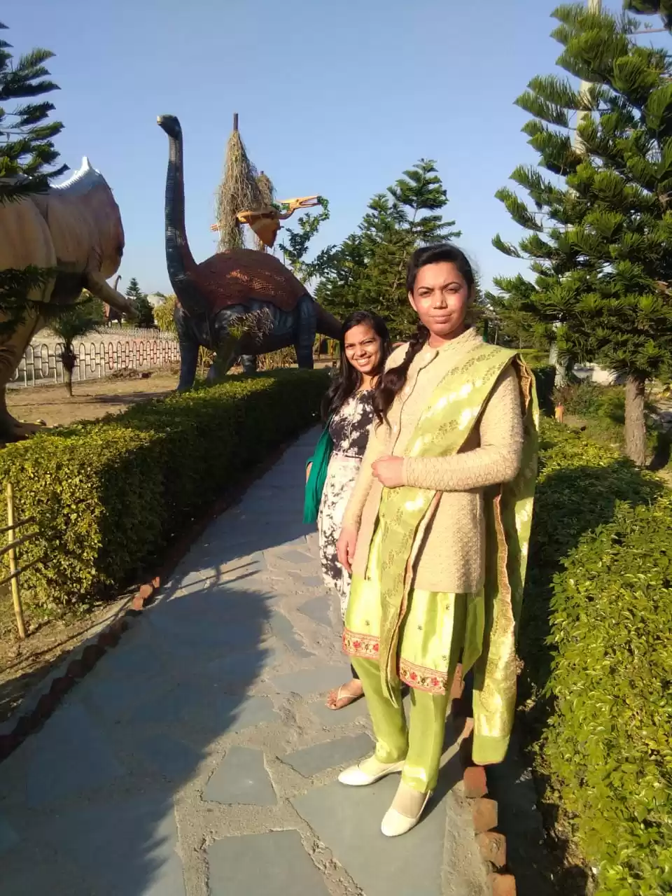Photo of With Dinasaurs of Di