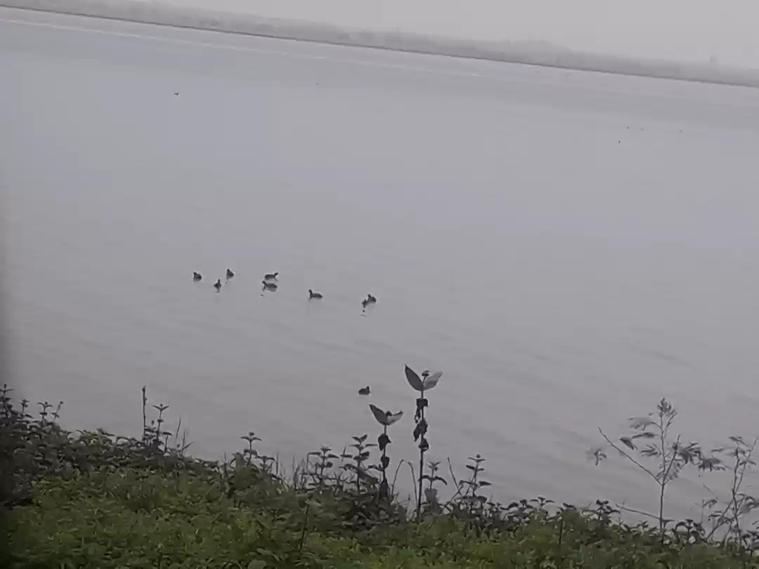 Photo of उत्तर भारत का सबसे ब