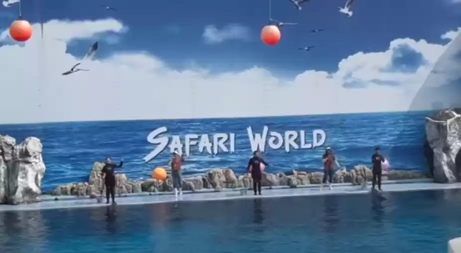 Photo of Land of white elepha