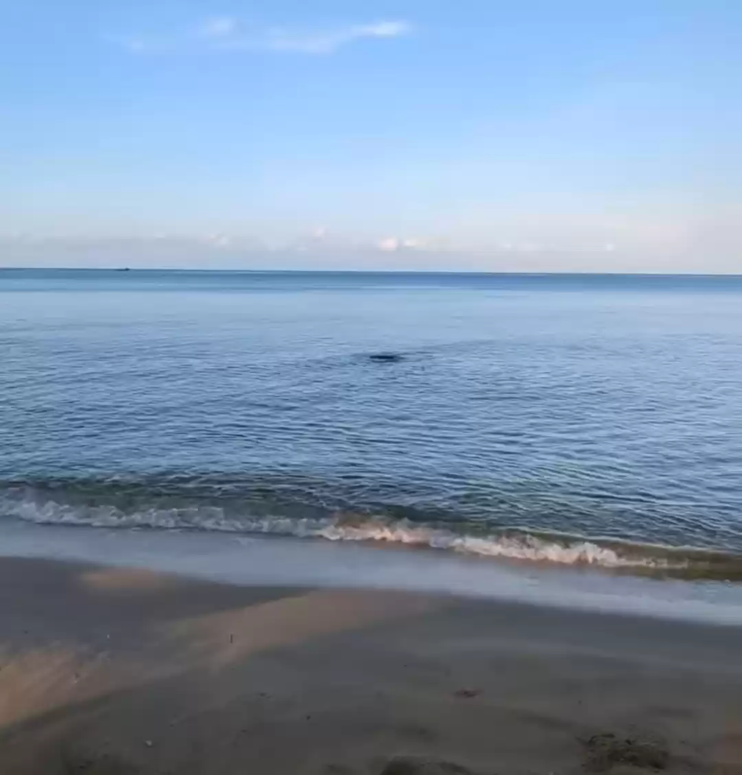 Photo of Country of elegant t