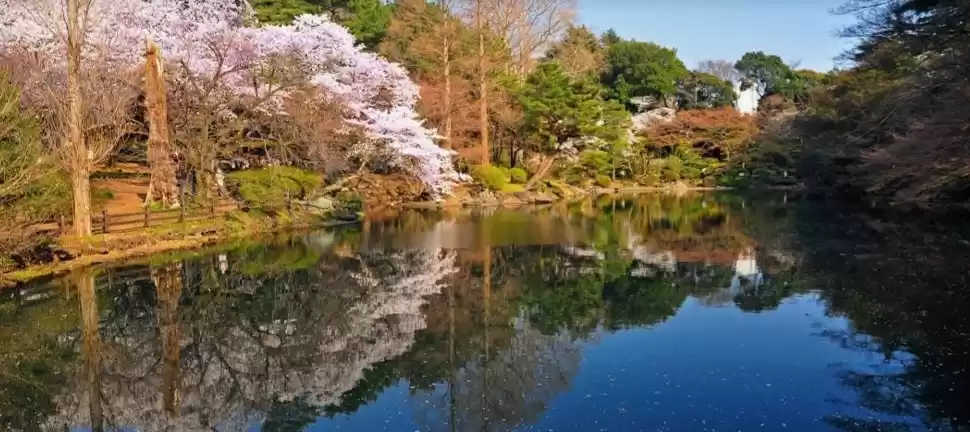 Photo of Island of rising sun