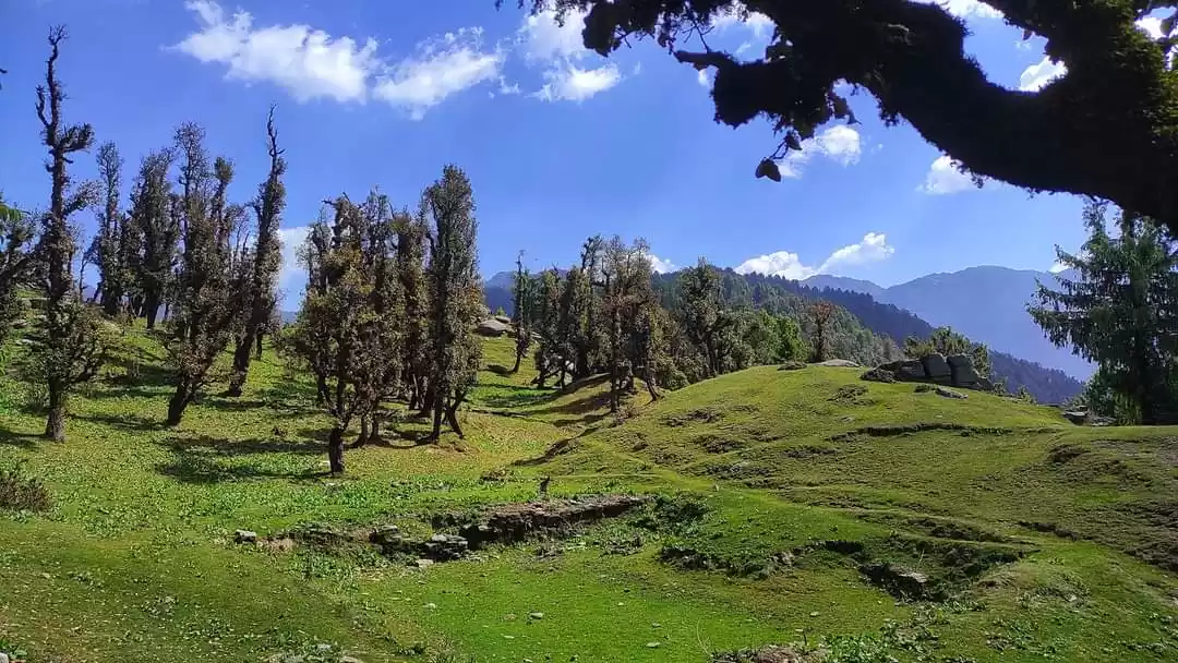 Photo of ट्रैकर्स की पहली पसं