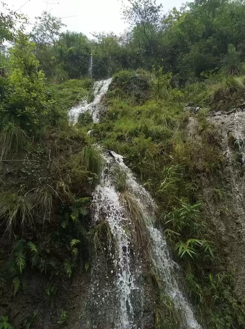 Photo of फलों से लदी, झरनों स