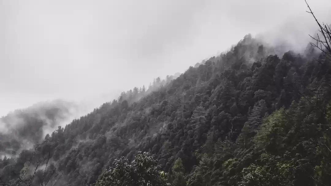 Photo of Weekends in Doon