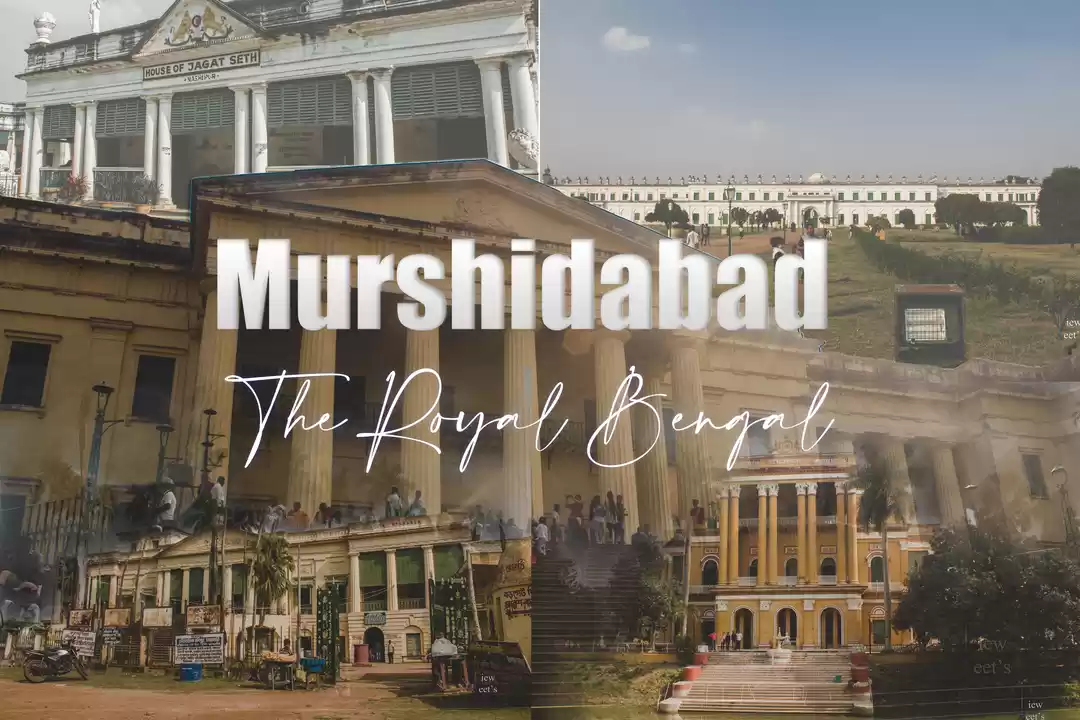 Photo of The Royal Bengal - M