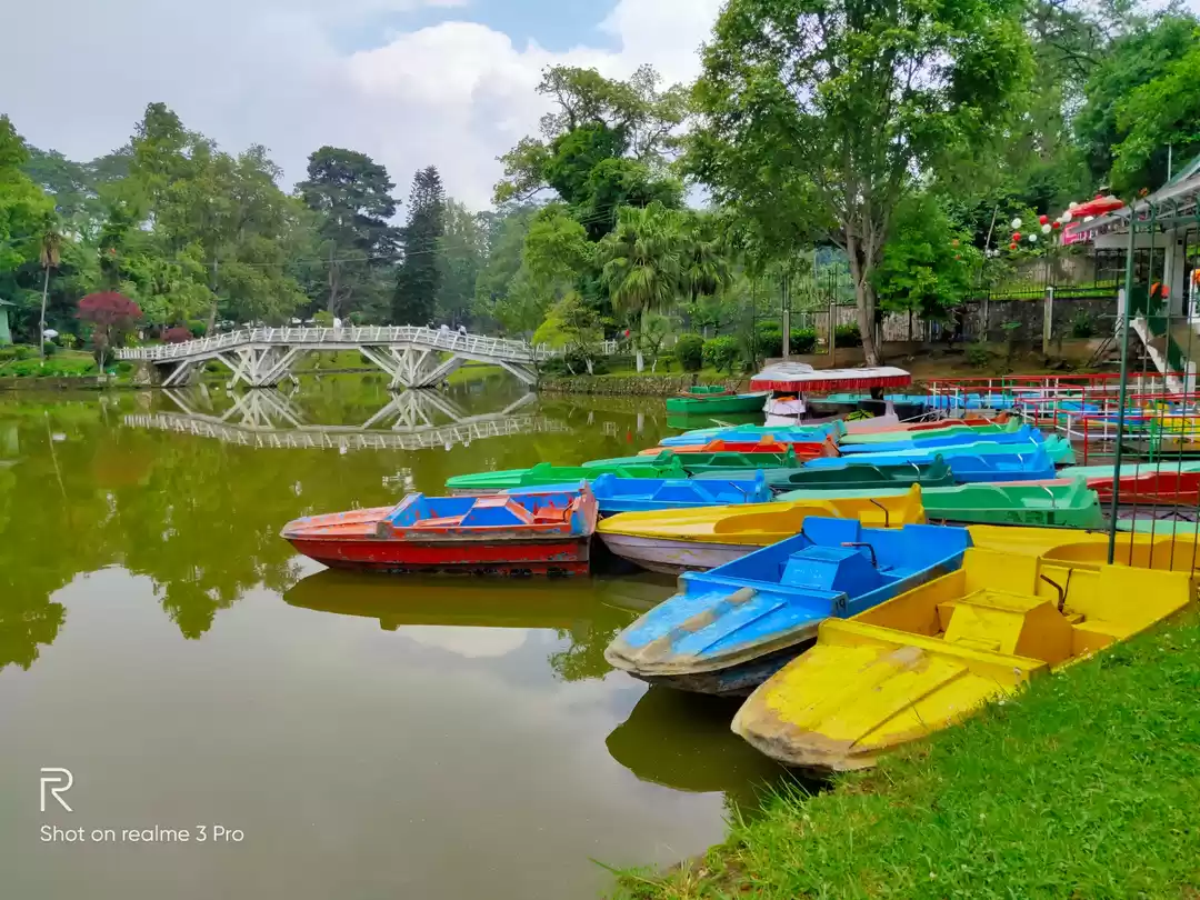 Photo of mystic shilong