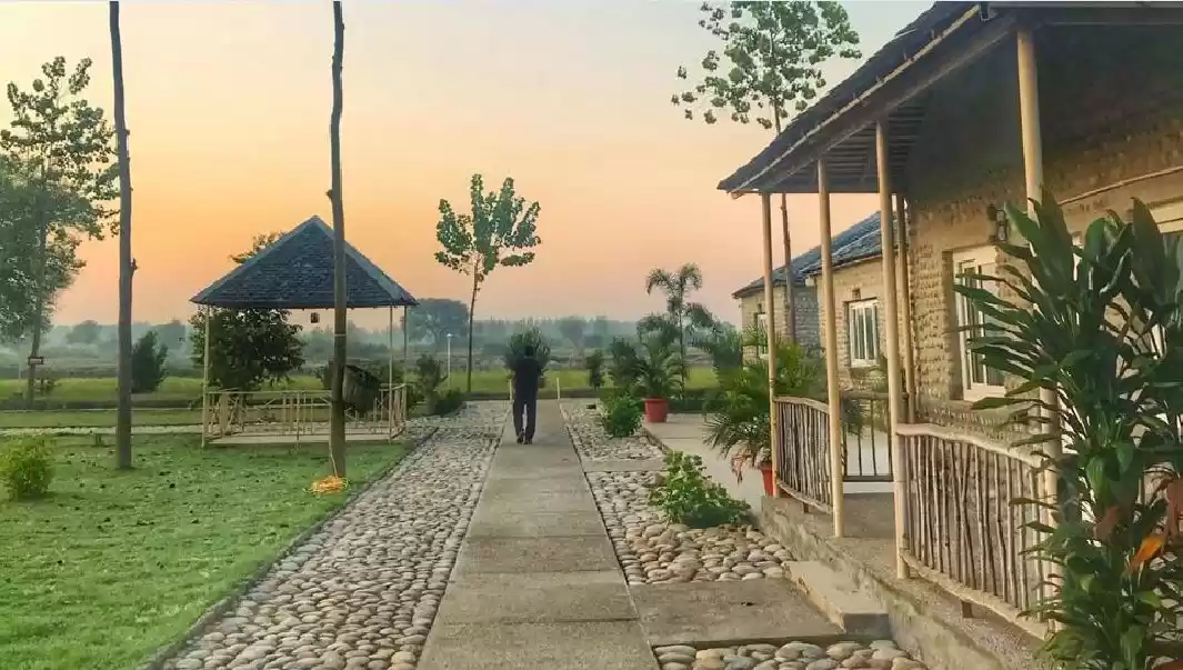 Photo of My Experience at Ana