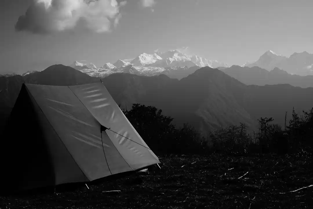 Photo of Road less travelled