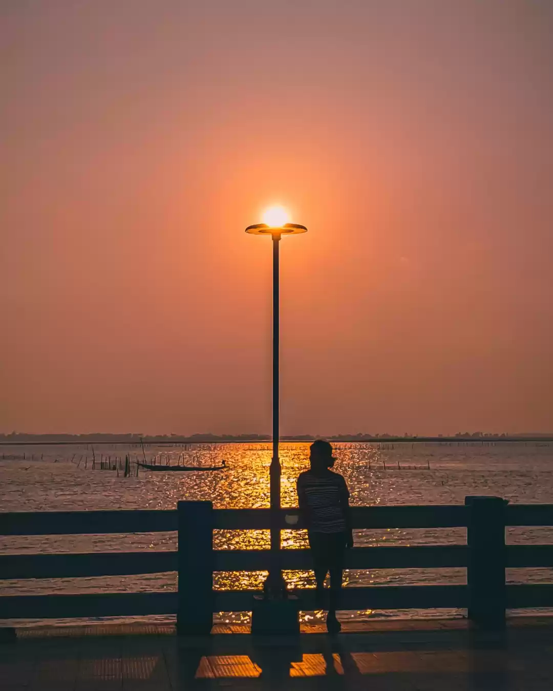 Photo of A visit to Dolphins 