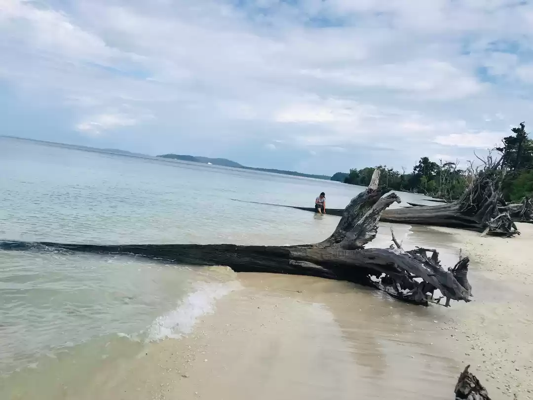 Photo of Andaman Islands - A 