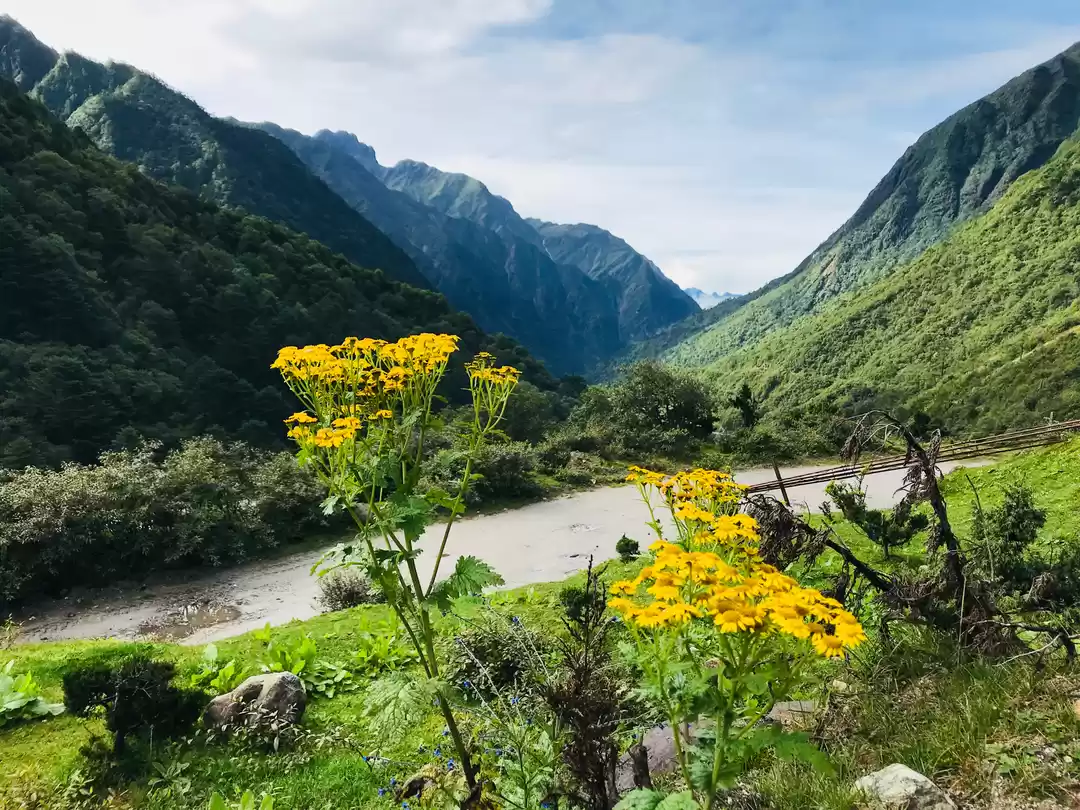 Photo of Sikkim Photologue