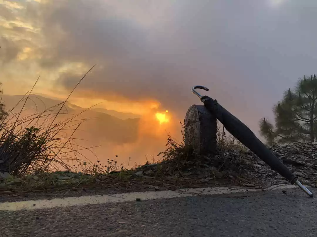 Photo of "The Human Hospital"